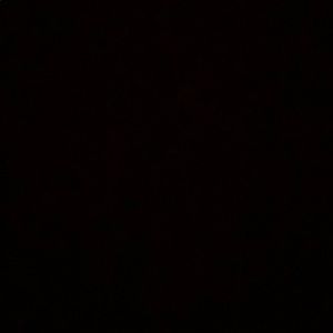 Meet your Posher, Brooklyn